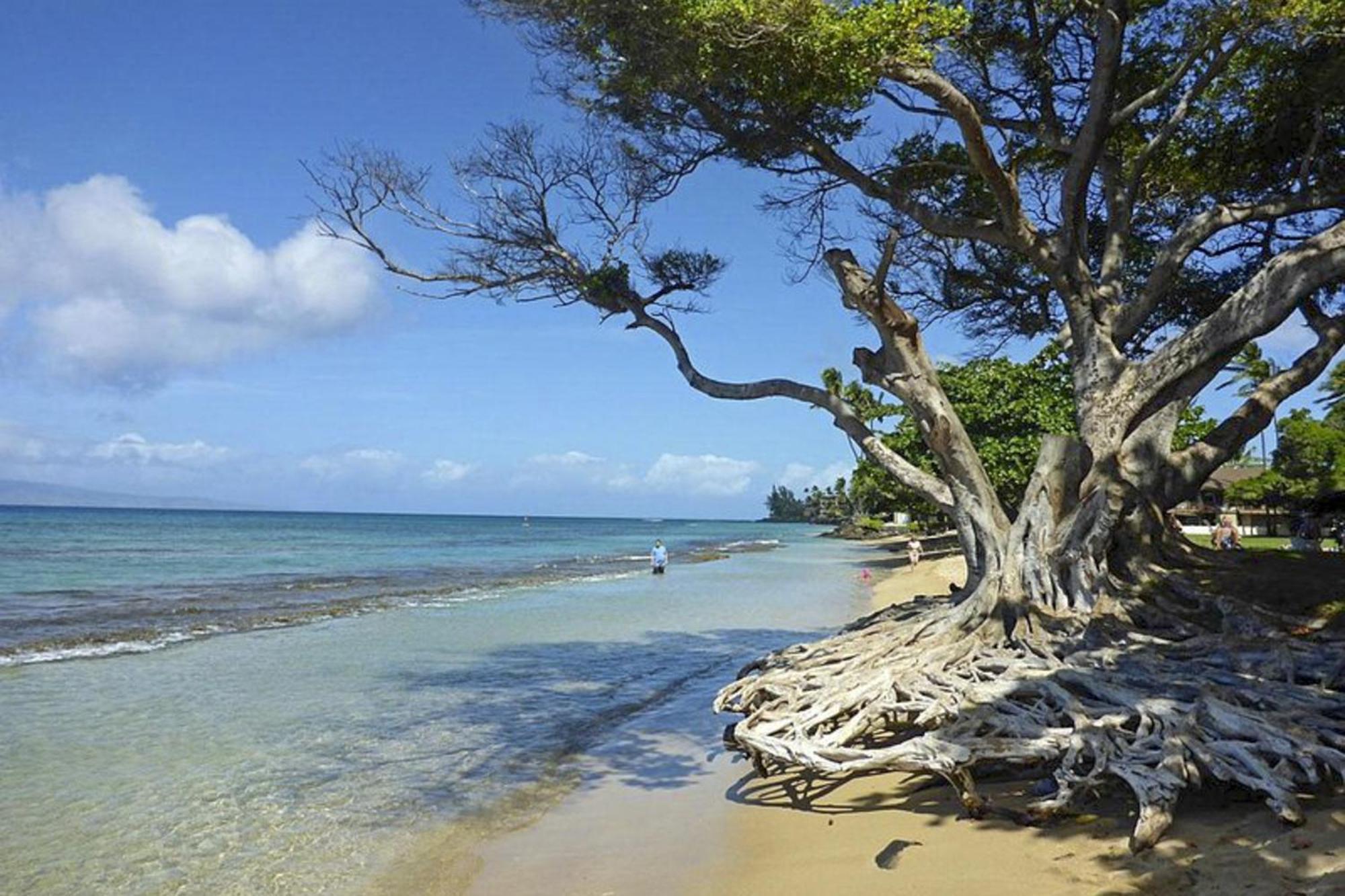 Polynesian Shores 118 Kahana Eksteriør billede